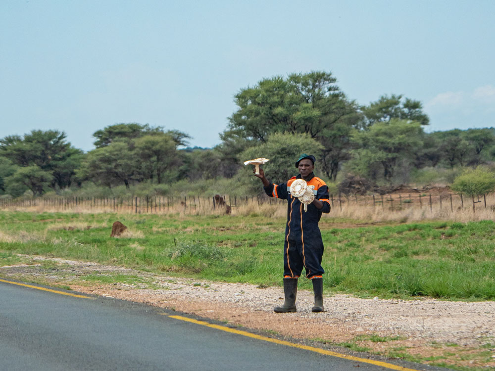 Omajowa-Buying-Lost-in-the-Trip