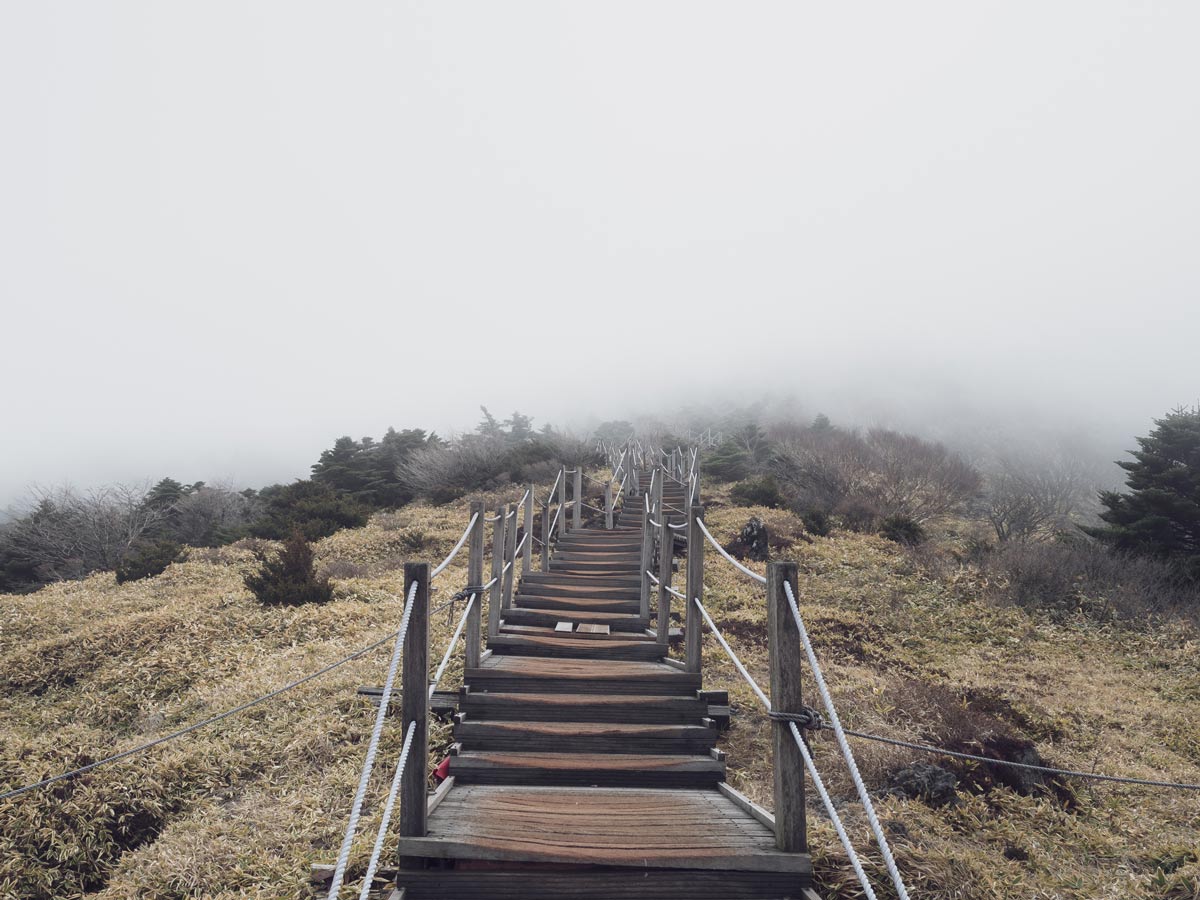 Hallasan-Steps---Lost-in-the-Trip