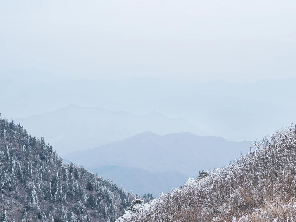 Jirisan-Ice-Trees - Lost in the Trip