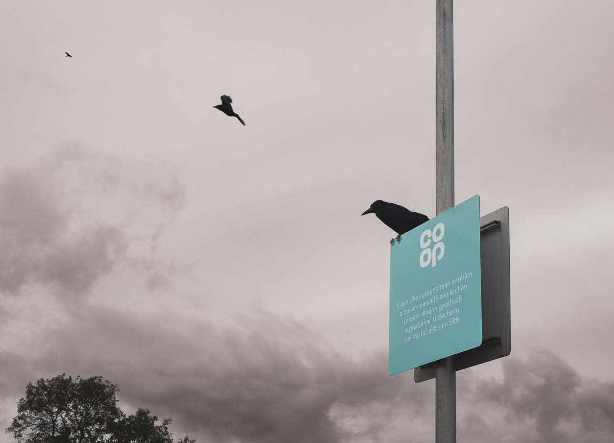 Lost-in-the-Trip-Co-Op-Shopping-Skye-Scotland