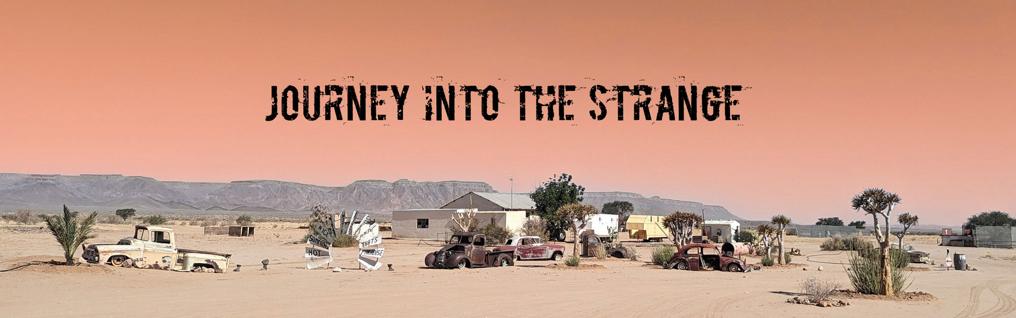 Lost-in-the-Trip-Homepage-Journey-into-the-Strange