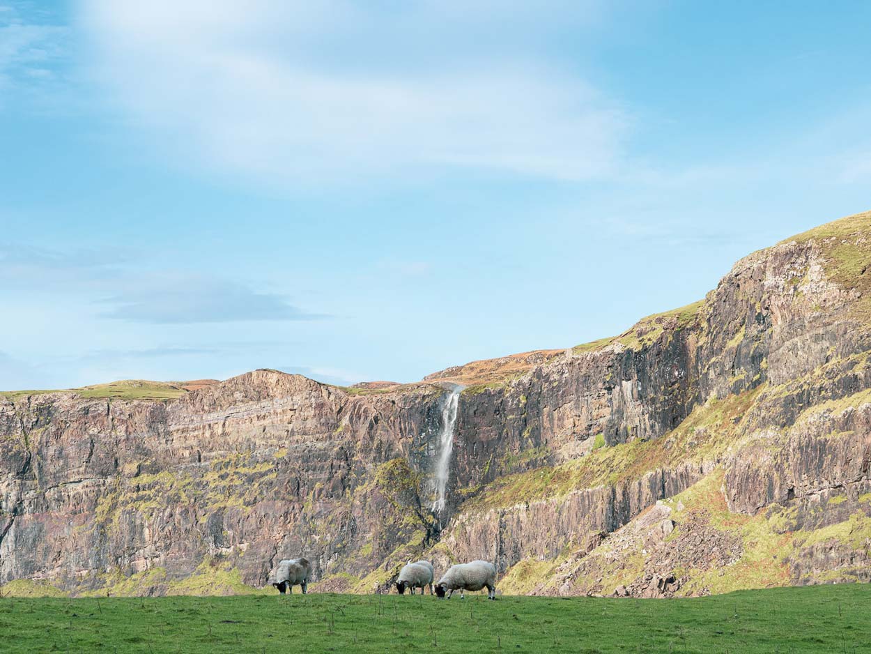 Lost-in-the-Trip-Talisker-Skye-Scotland-Sheep