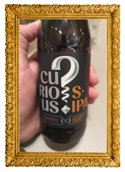 Curious SIPA by Curious Brewery – English Chinook, Triple Hopped Session IPA (4.4%)