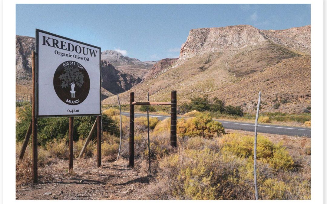 Kredouw: The Jewel of Prince Albert Valley – Art, Olives and Sweeping Views of Silver, Gold and Shadowy Peaks