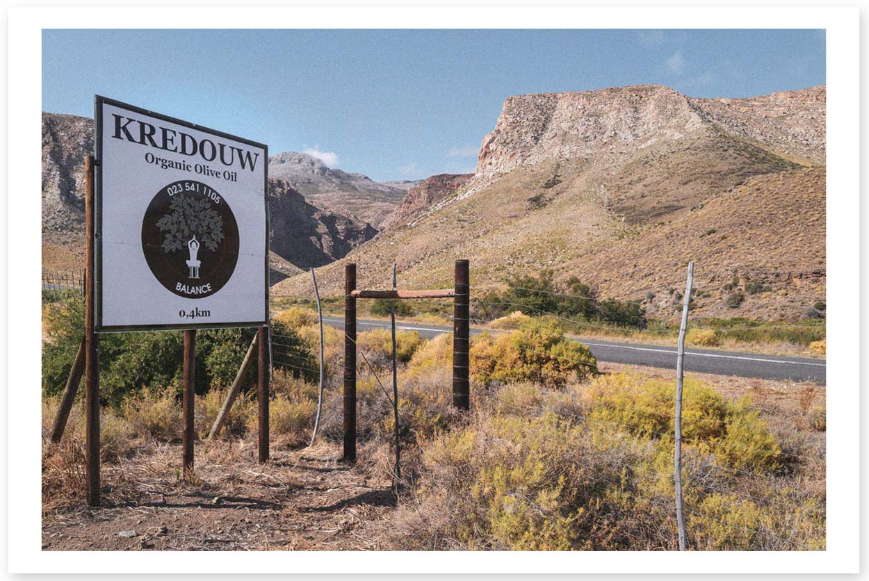 Kredouw: The Jewel of Prince Albert Valley – Art, Olives and Sweeping Views of Silver, Gold and Shadowy Peaks