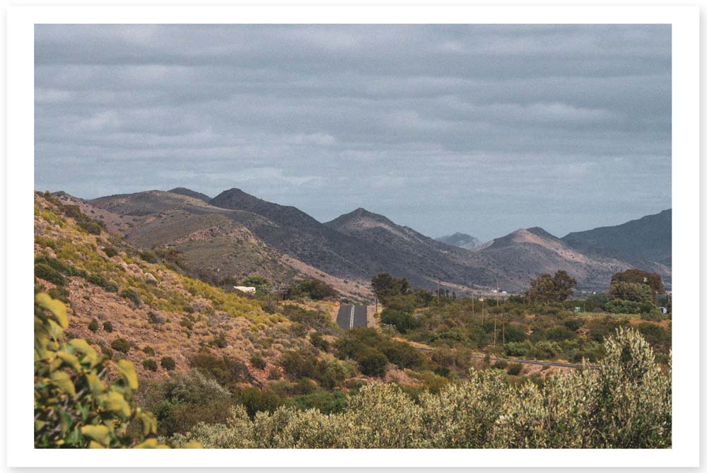 Prince Albert Valley -Kredauw- Lost in the Trip