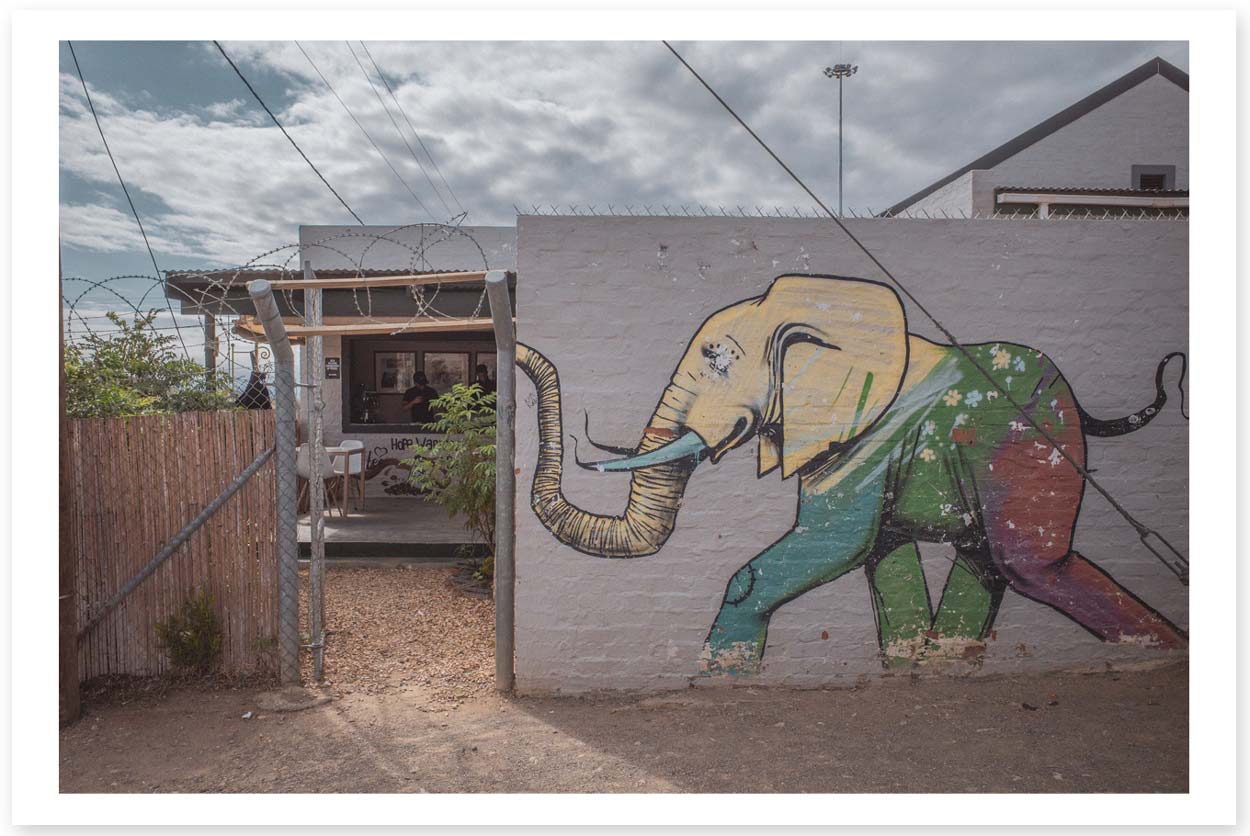 Hope Warriors Cafe -Elephant Mural Entrance