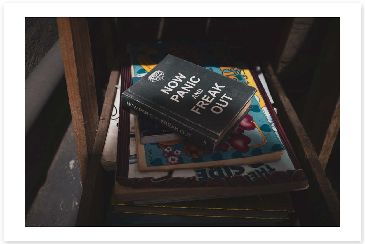 Ibis - Dont Panic - Nieu Bethesda - Karoo