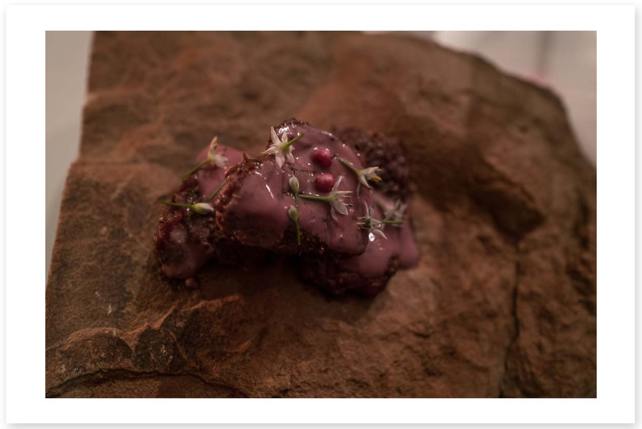 Ibis - Main - Venison -Nieu Bethesda - Karoo