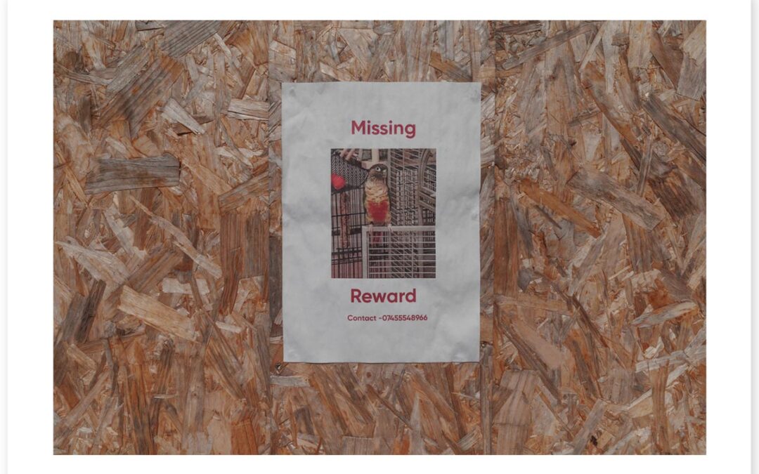 Missing Reward