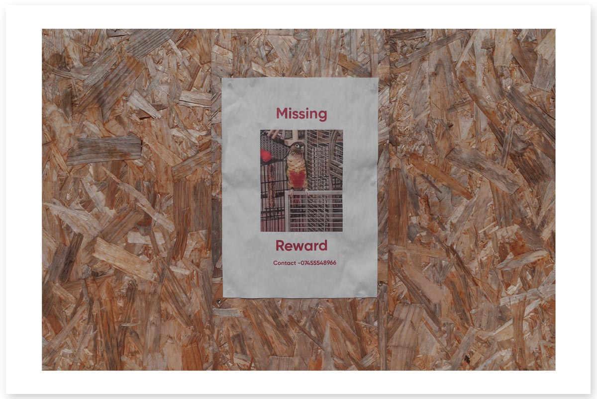 Lost in the Trip - Missing Reward