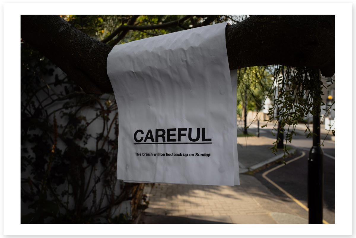 Lost in the Trip - Careful Branch