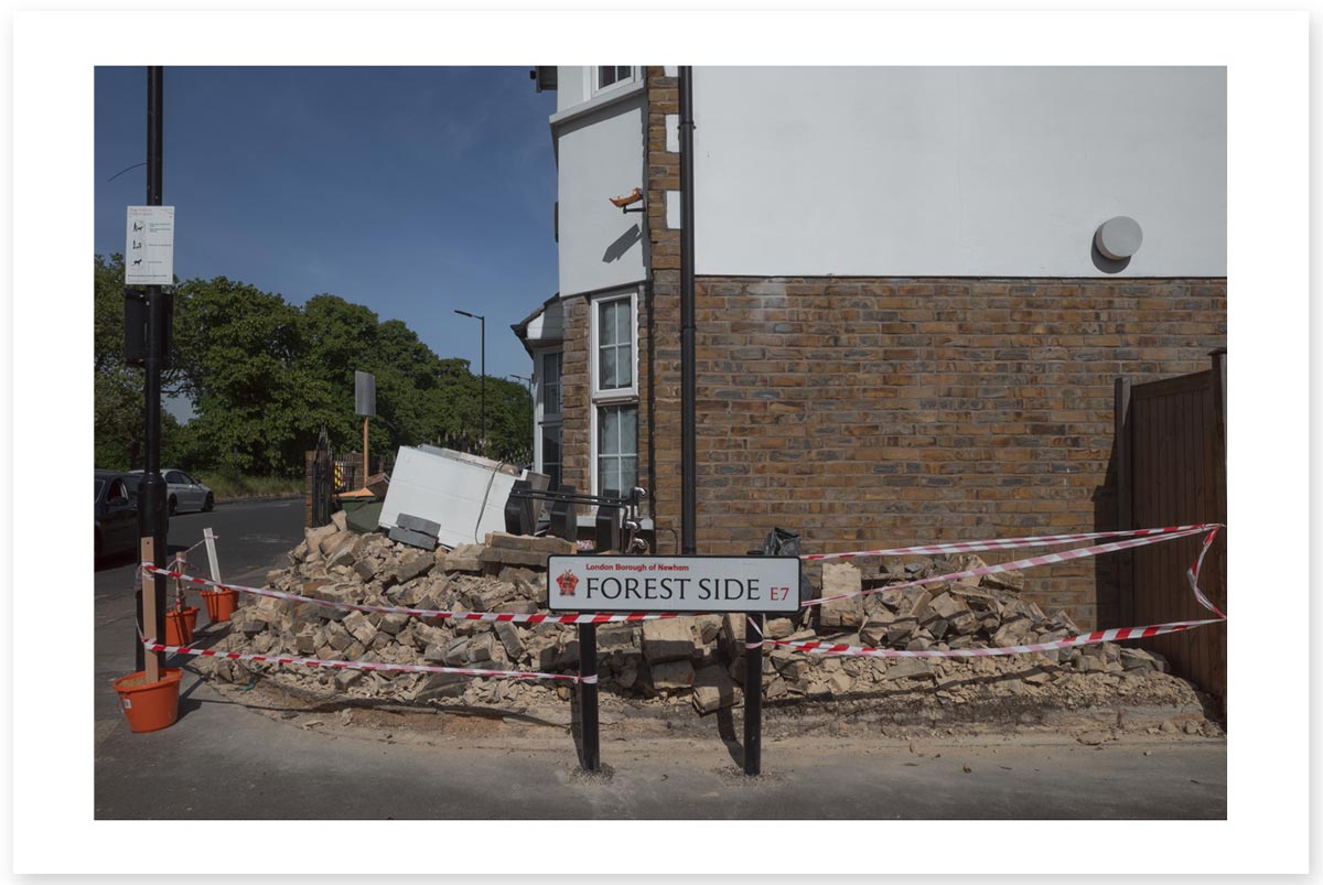 Lost in the Trip - Forest Side