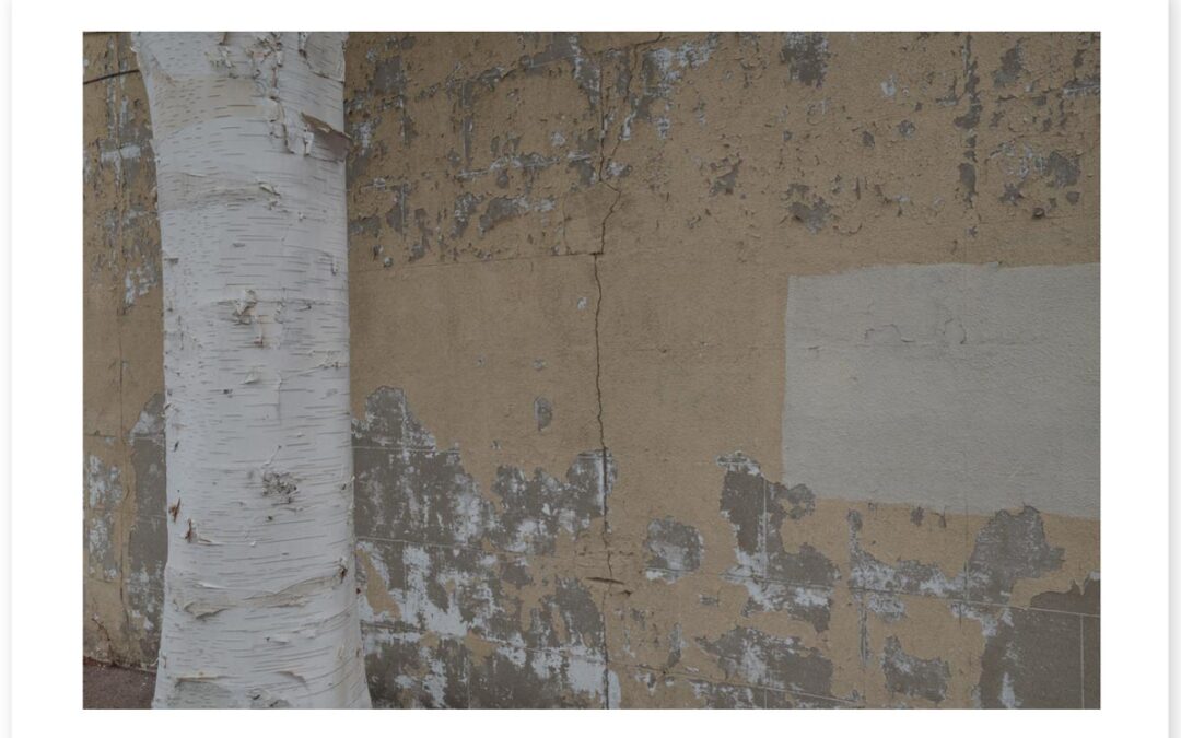 Beautiful, Peeling Mess