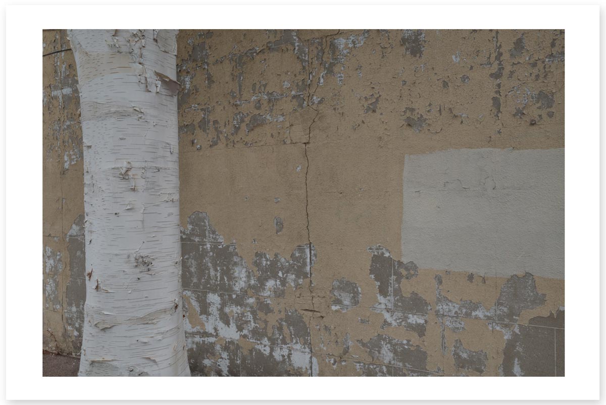 Lost in the Trip - Beautiful Peeling Mess