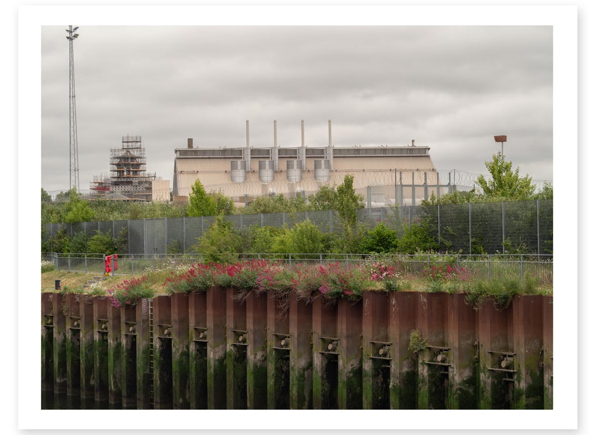 Steel Botanicals - Lost in the Trip