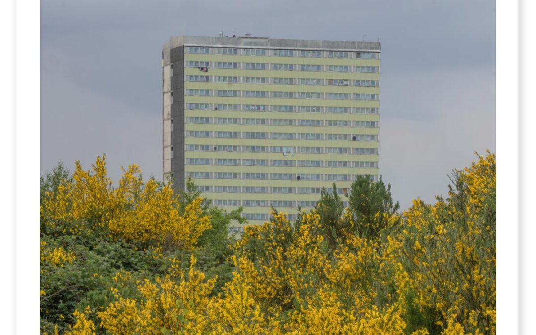 Yellow Bush Tower