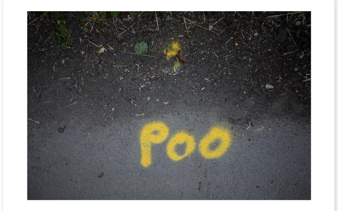 Yellow Poo