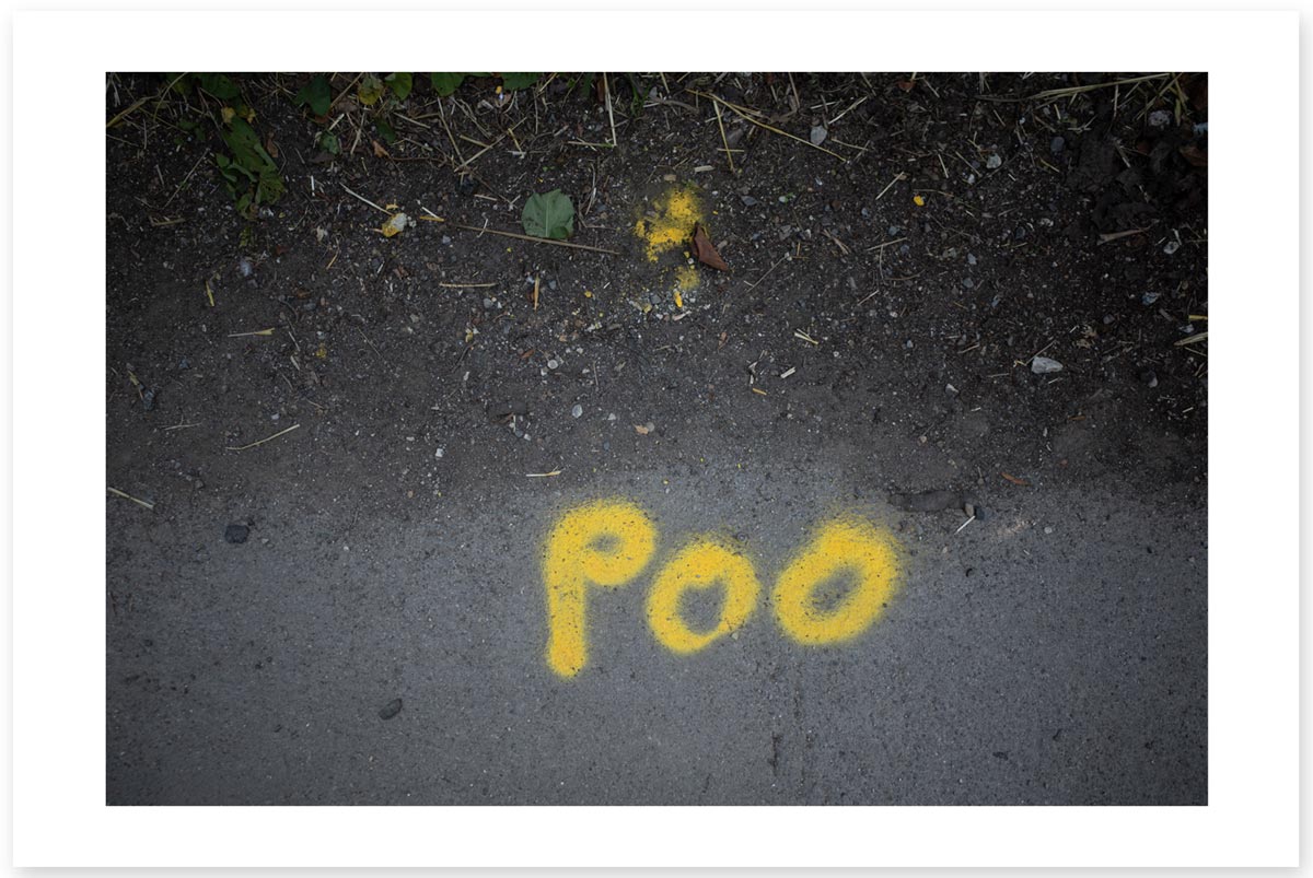 Yellow Poo