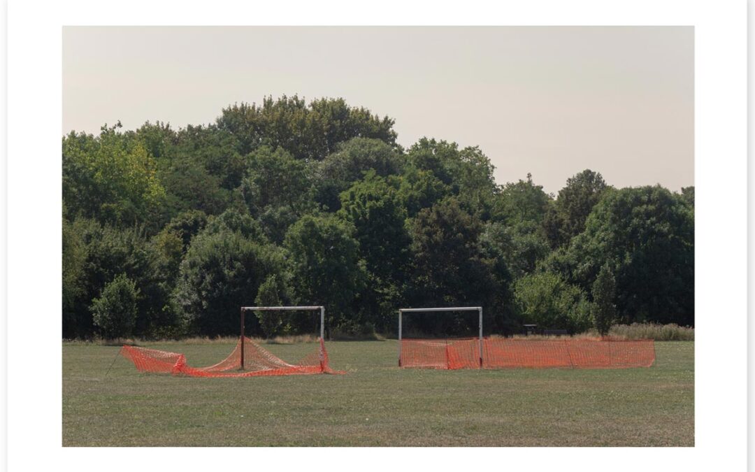 Ballet of the Marshes