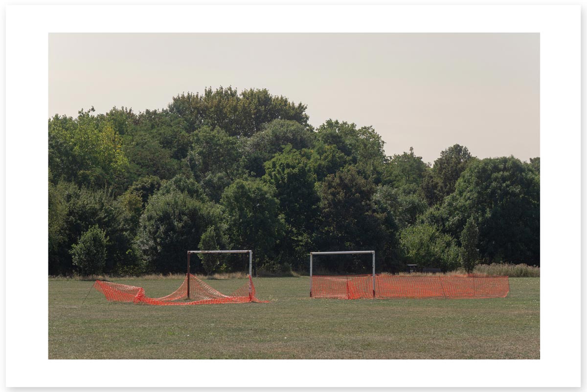 Ballet of the Marshes