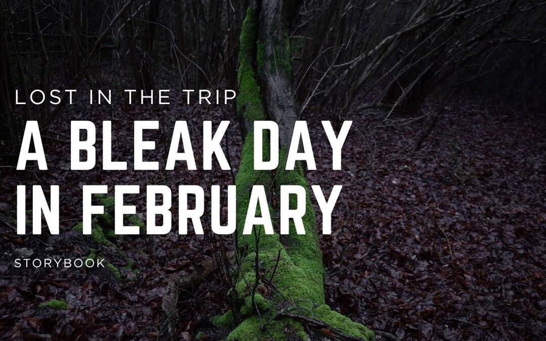 A Bleak Day in February