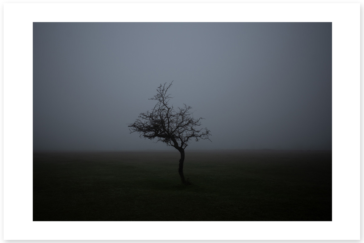 Crooked Elbow - Lost in the Trip