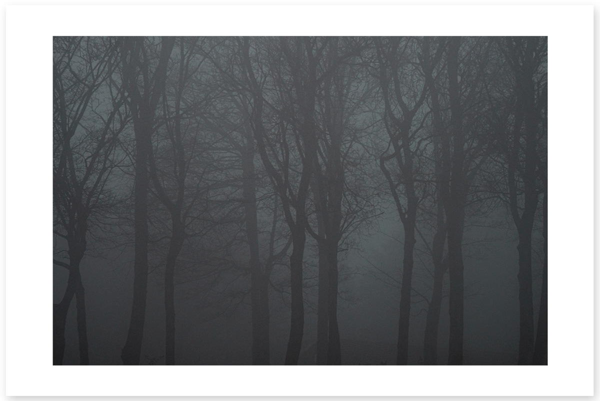 Gloom Temptress - Lost in the Trip