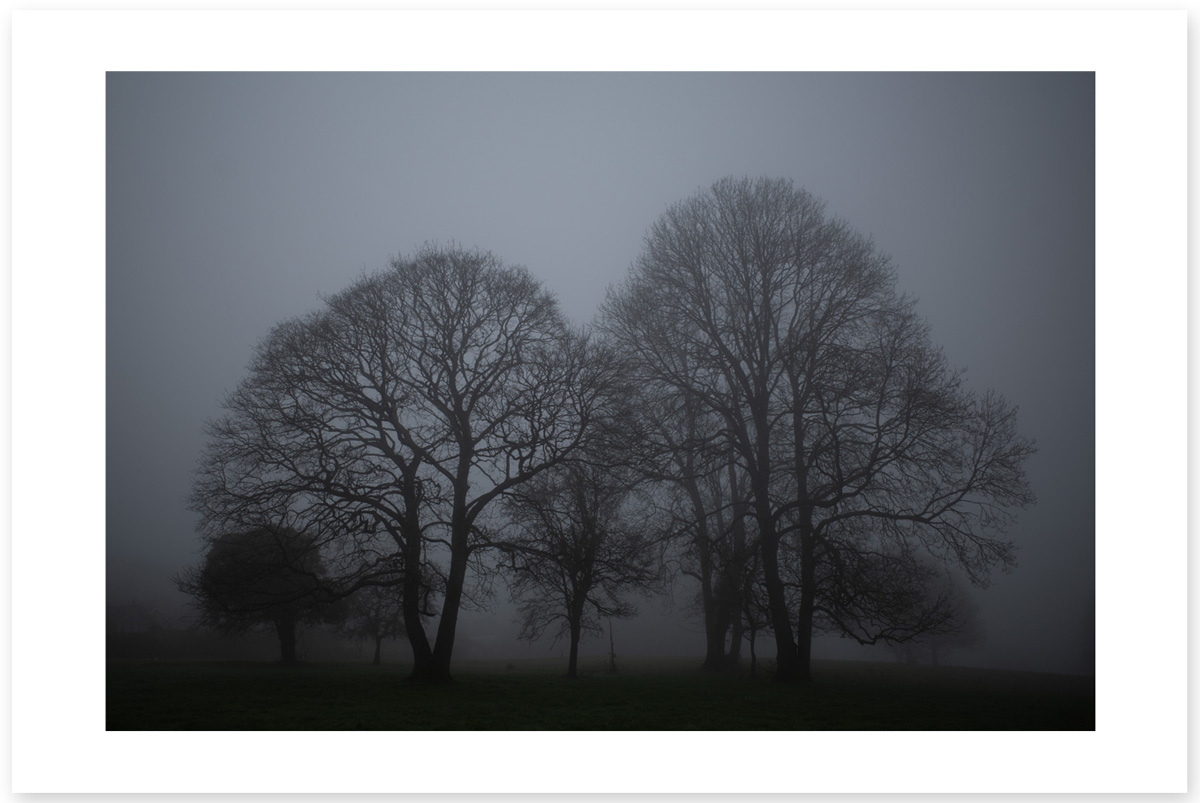 Hint of Green - Lost in the Trip