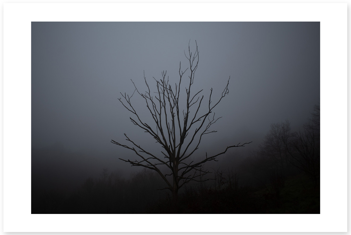 Leafless Scream - Lost in the Trip