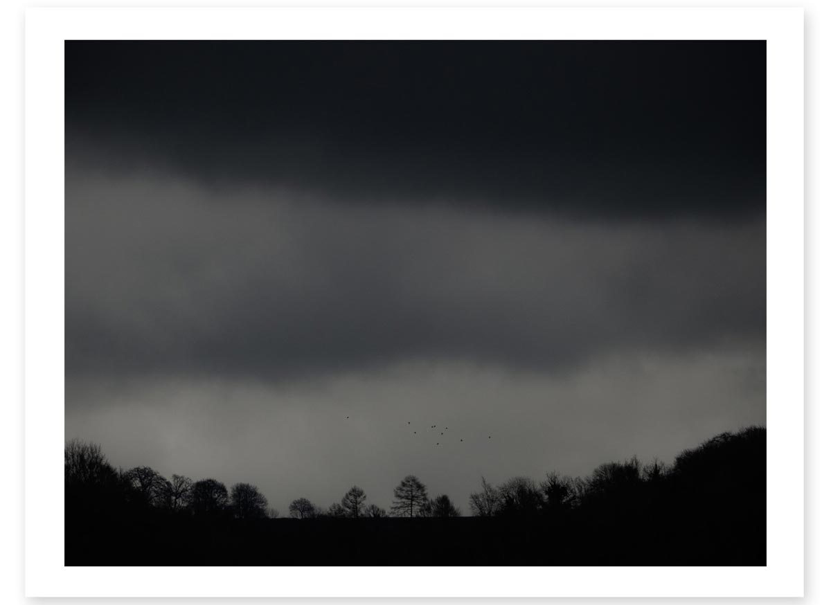 Mist Birds - Lost in the Trip