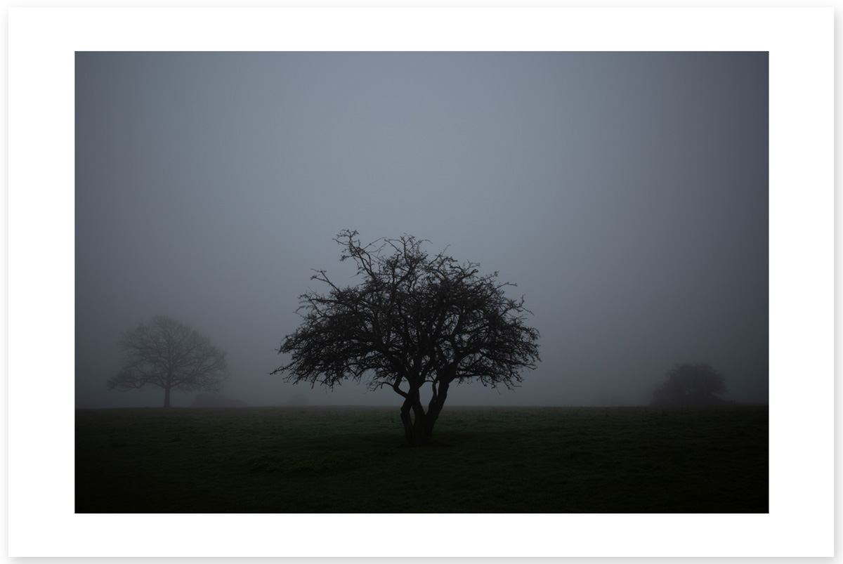 Mist Triplets - Lost in the Trip