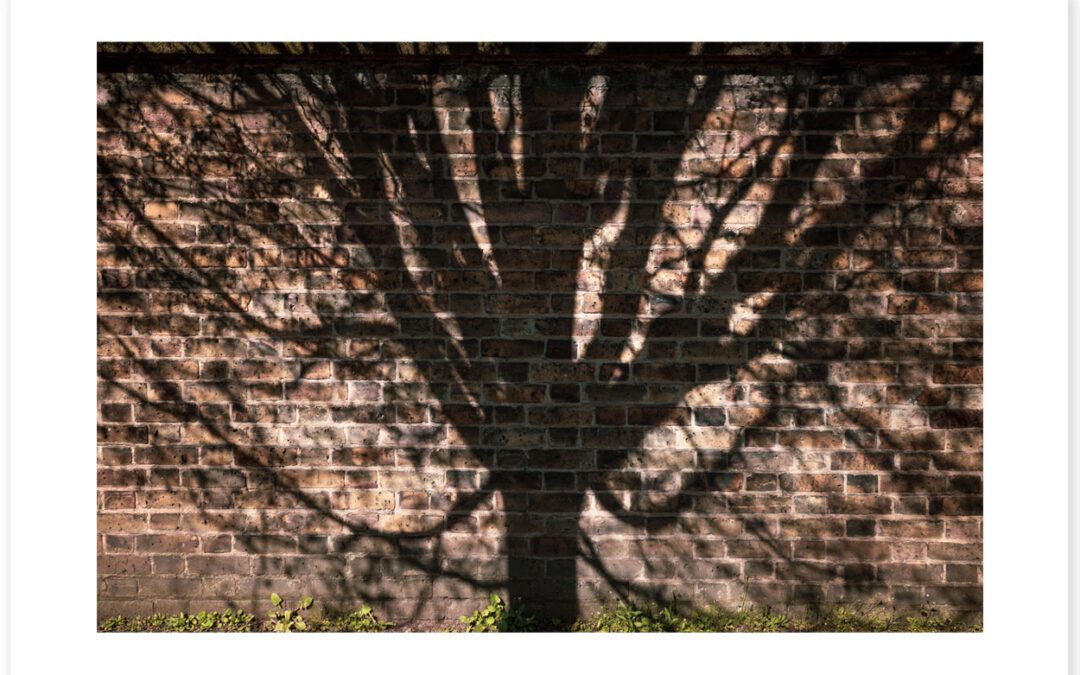 On Aesthetically Pleasing Walls, Trouser Triplets and Mental Pictures