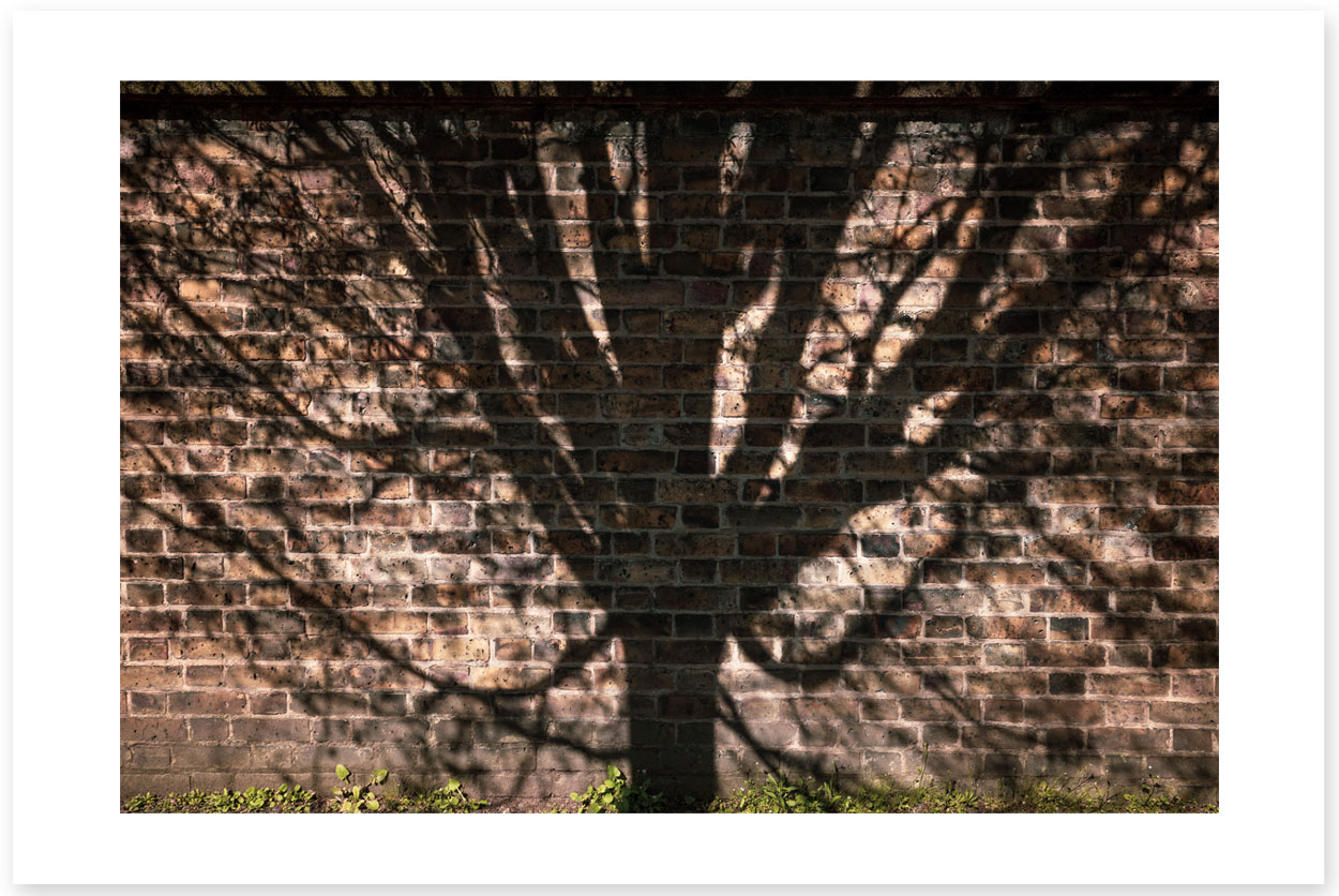 On Aesthetically Pleasing Walls, Trouser Triplets and Mental Pictures