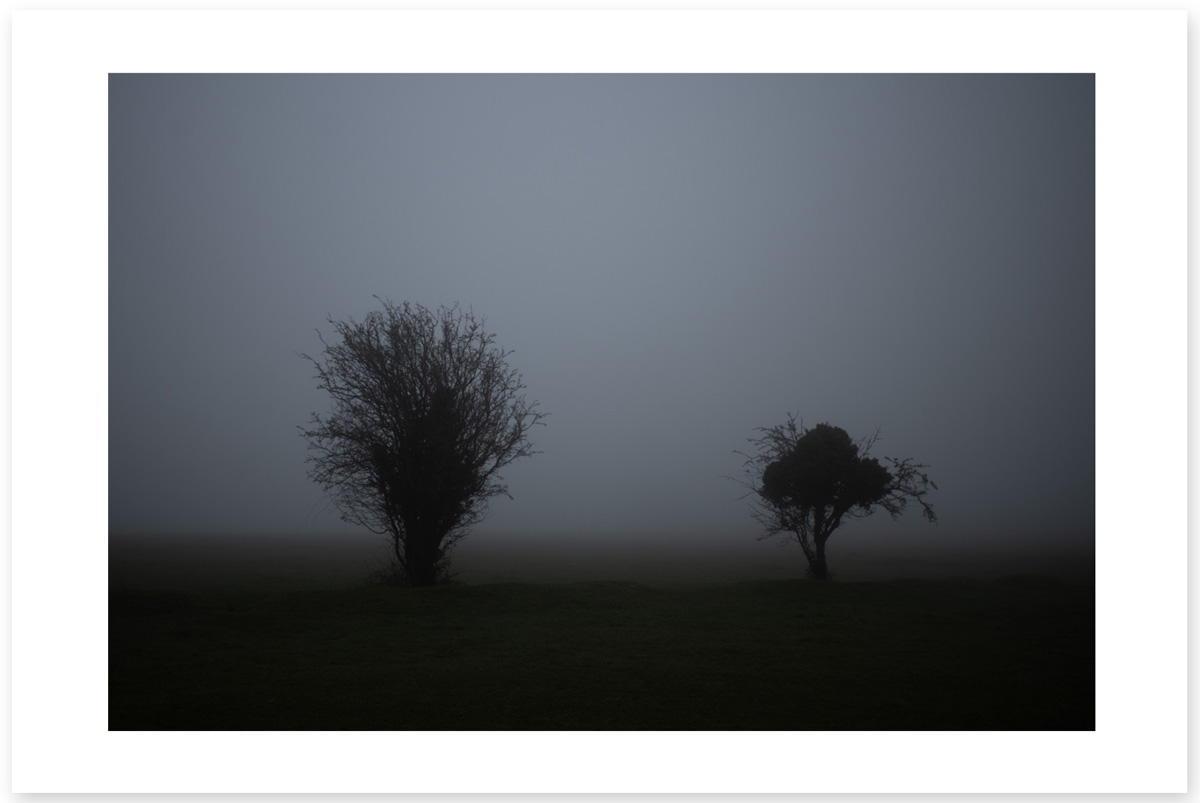 The Twins - Lost in the Trip