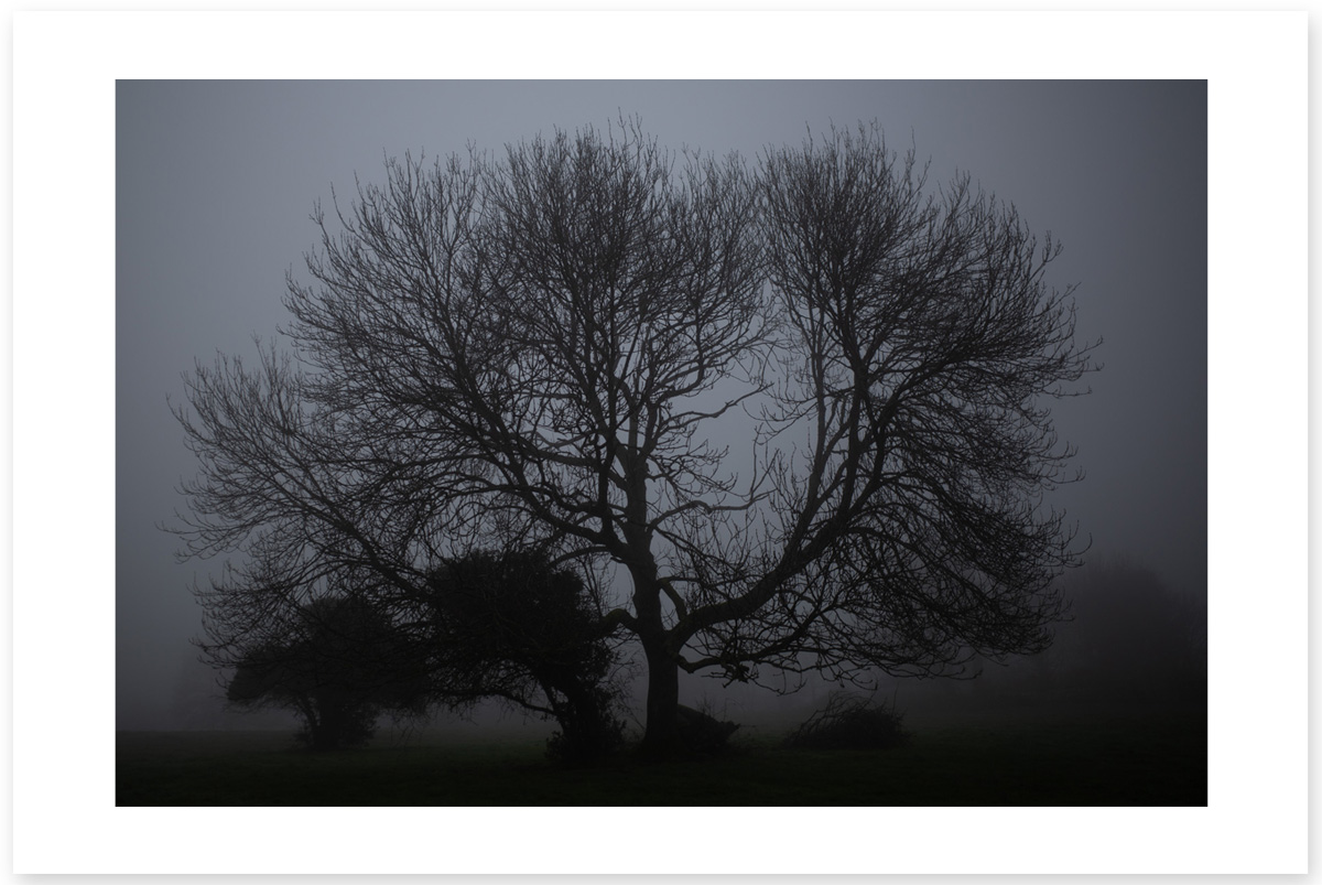 The Wings - Lost in the Trip