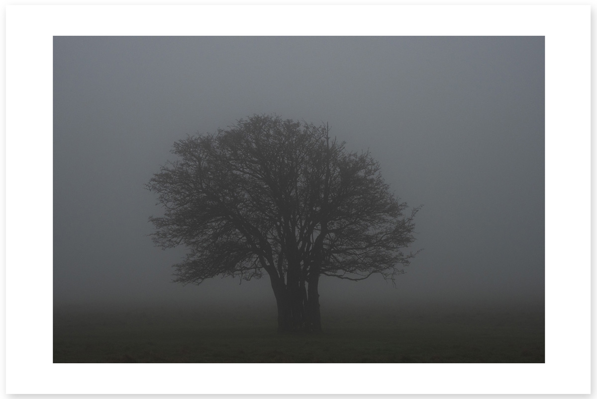 The Young Stoic - Lost in the Trip